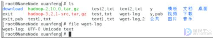 linux查看文件的类型