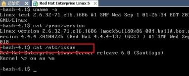如何看linux版本