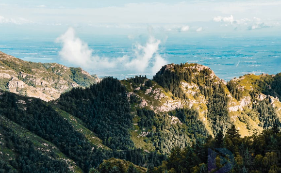 他强任他强清风拂山岗原文出处