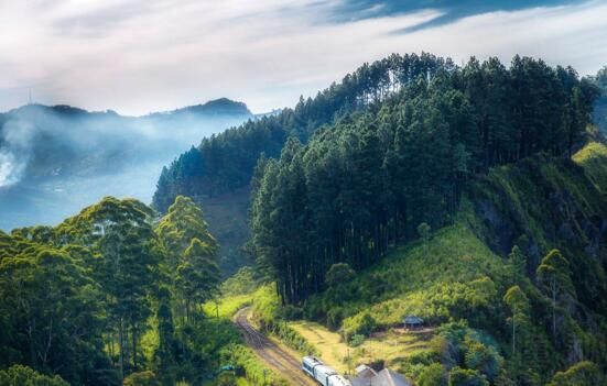 风景园林专业就业前景