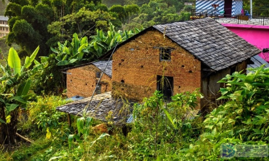 宅基地没有房屋可以确权吗