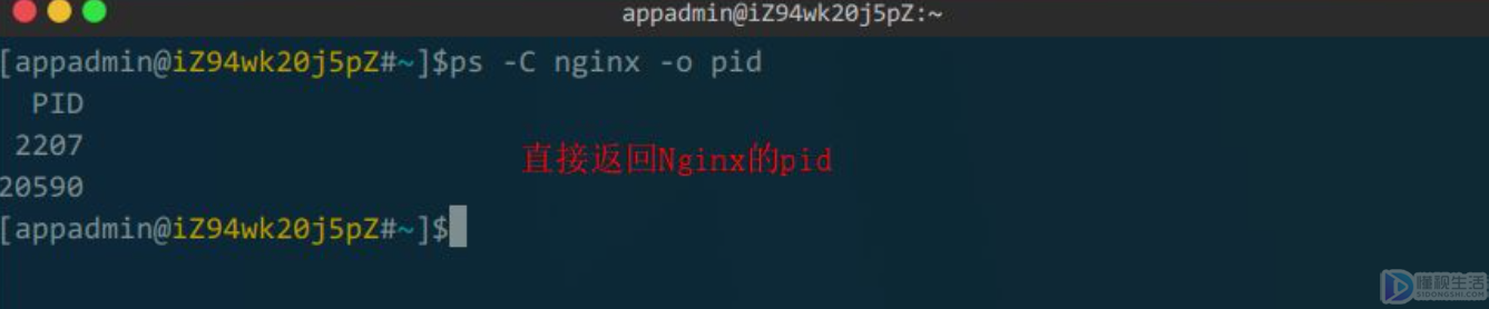 linux查看nginx是否启动