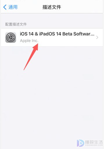 ios14测试版如何回到正式版