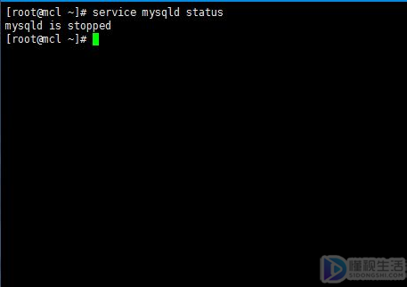 linux查看mysql的状态