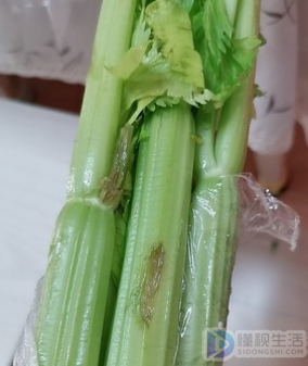 芹菜用水焯后能冷冻吗