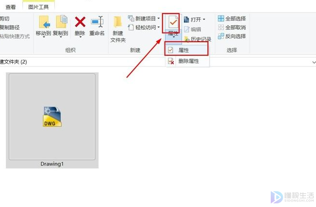 cad被写保护保存不了