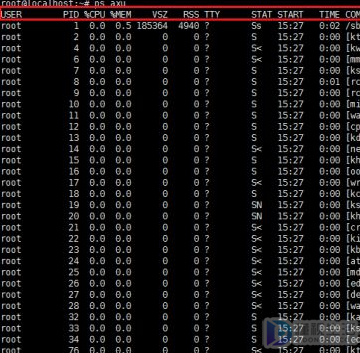linux查看运行的进程
