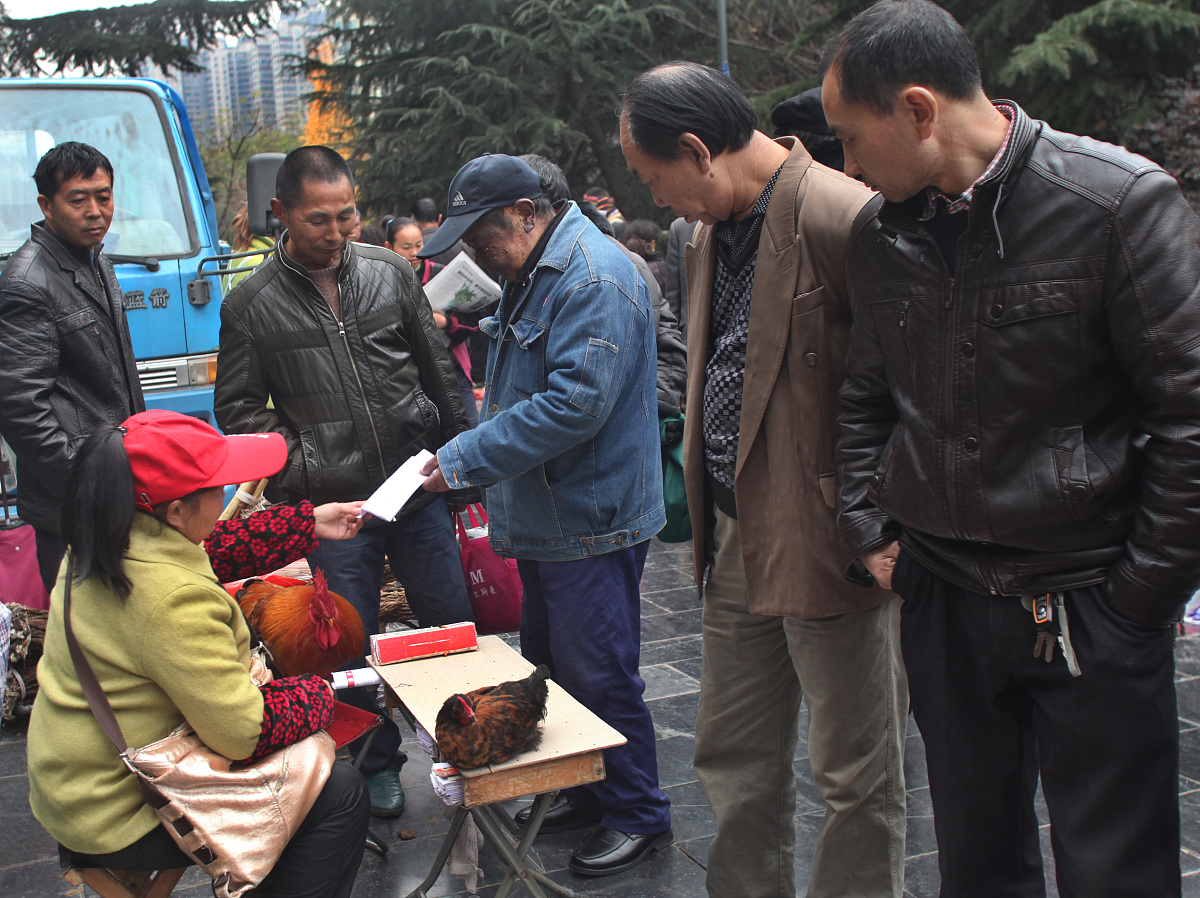 农历免费算命不求人 算命不求人几两命 