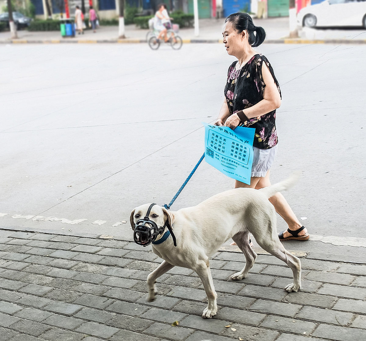 男狗女猴的八字和吗 男猴女狗婚姻能长久吗 