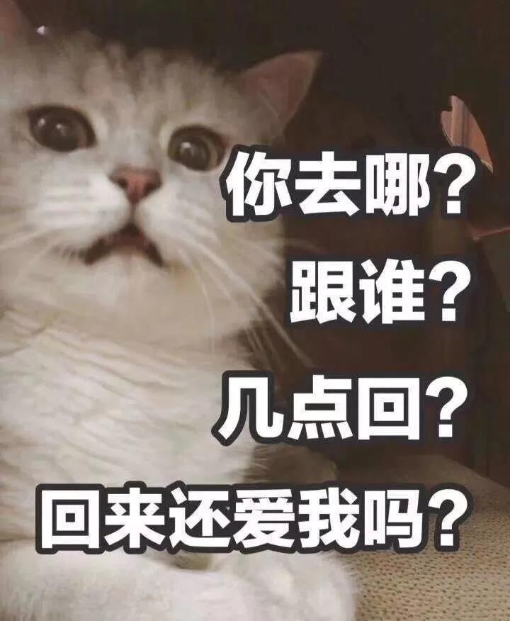 十二星座黏人指数排行榜！原来他们一个比一个黏人 