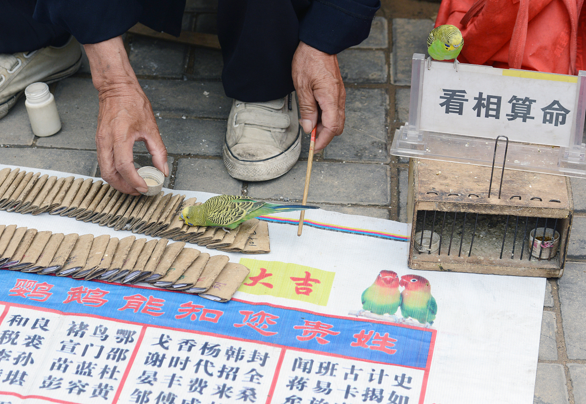 生辰八字起名免费取名 姓名测试打分生辰八字 