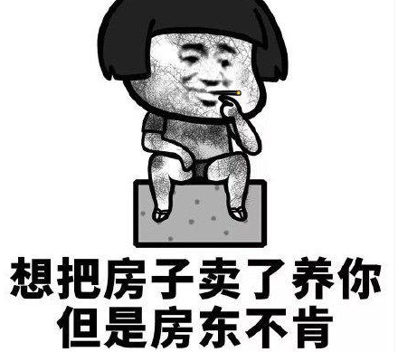 房东模拟器树洞毕业双人区高收益攻略