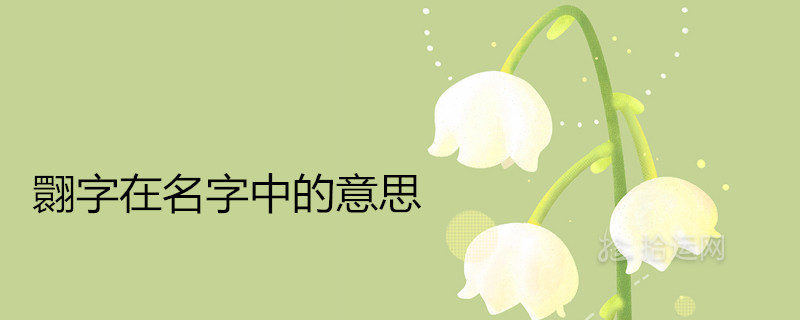 翾字在名字中的意思是什么 