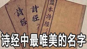 诗经中最唯美的名字有哪些 用诗经给女宝宝起名 