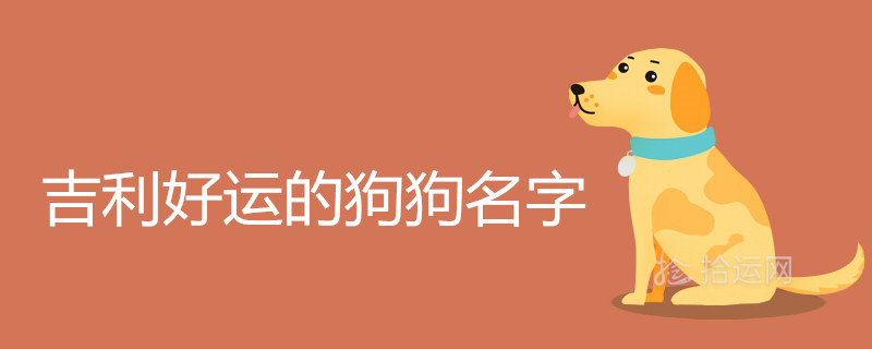 代表好运的狗狗名字哪些很吉利 