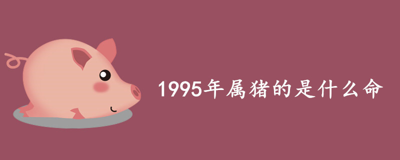 1995年属猪的是什么命 