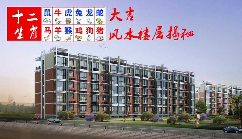 属鼠的适合住什么楼层，生肖鼠适合住什么样的 