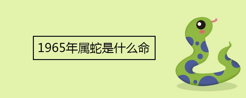 1965年属蛇是什么命 