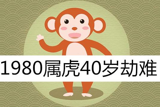 1980属猴的40岁以后 