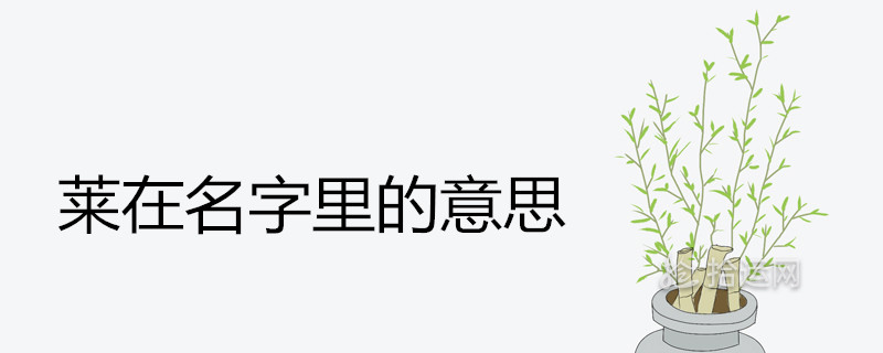 莱在名字里的意思好不好 