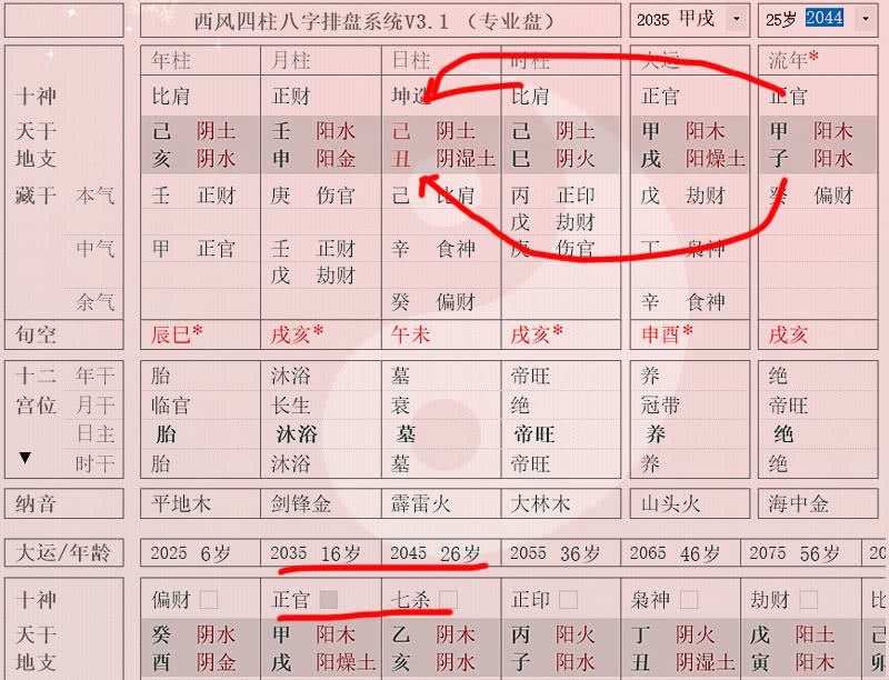 巳时出生的女孩婚姻 1987年属兔的命运和婚姻怎么 