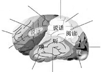 名人八字实例详解300例 从古至今的名人八字都不 