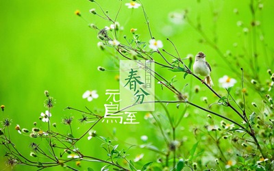 春分节气的含义，2020鼠年春分节气出生的宝宝取名乳名 