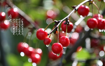 2020年2月19日雨水节气出生男孩五行缺金起名 