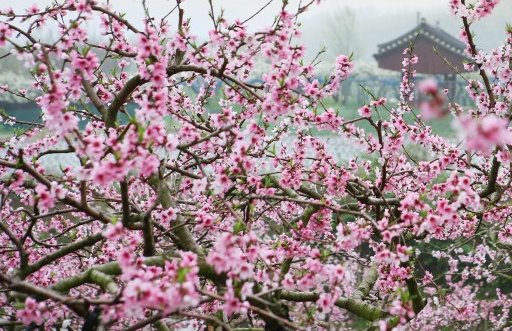 2021年3月16日农历二月初四出生的男孩起好听儒雅的名字 