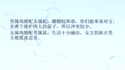 85年属牛的最佳配偶 85年属牛的最佳配偶娶86年的 