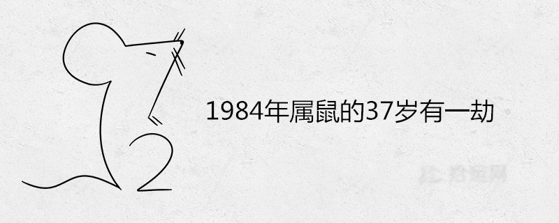 1984年属鼠的37岁有一劫吗 2021年的运气怎么样 