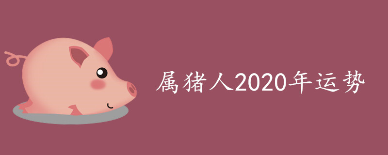 属猪人2020年运势 