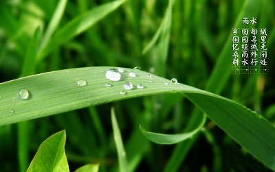 2020年雨水出生女孩五行缺金起名有哪些好的推荐？ 