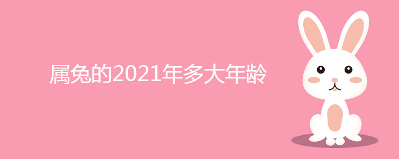 属兔的2021年多大年龄 