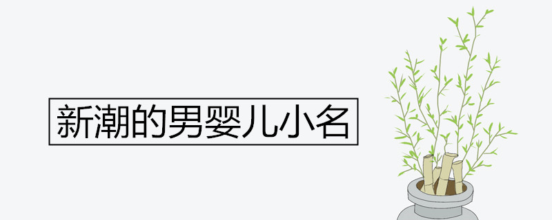 新潮的男婴儿小名 