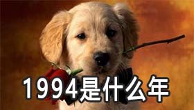 1994是什么年 