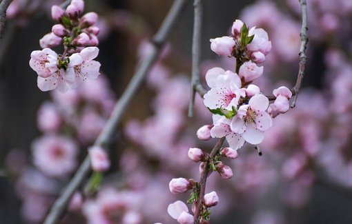 2021年2月13日农历正月初二出生的男孩高分好名字大全 