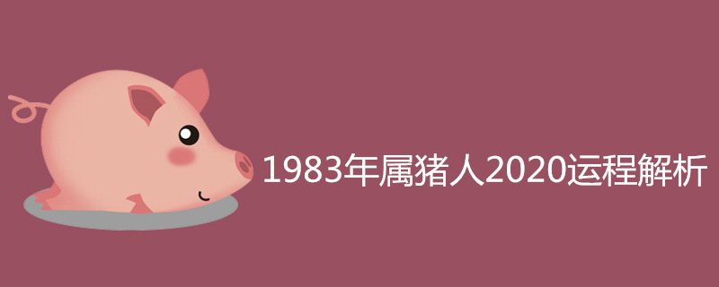 1983年属猪人2020运程解析 