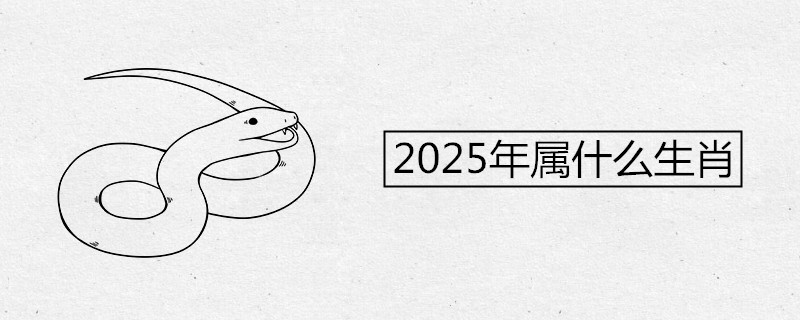 2025年属什么生肖 