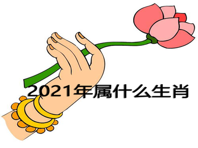 2021年属什么生肖 12生肖排列 