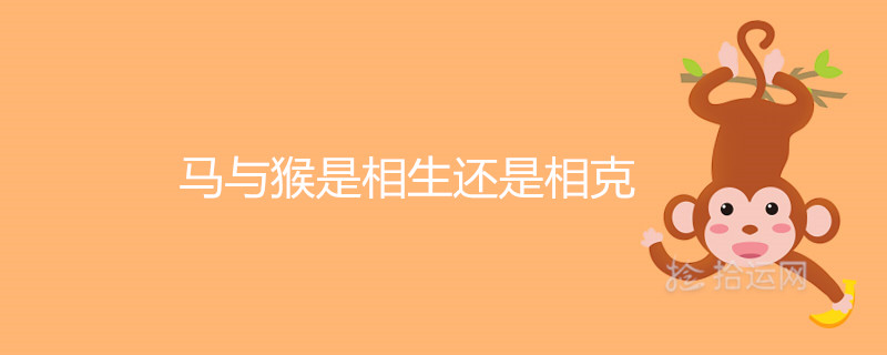 马与猴是相生还是相克 能不能在一起 