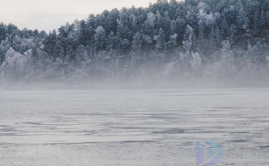 婷向枝头若雪飞什么意思