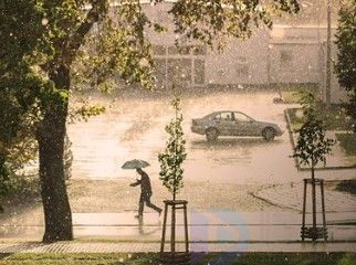 雨伞什么牌子好