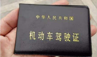 申请电子驾照有什么用（电子驾照的作用） 