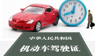 a3驾照能开什么车（a3驾照能开什么车型） 