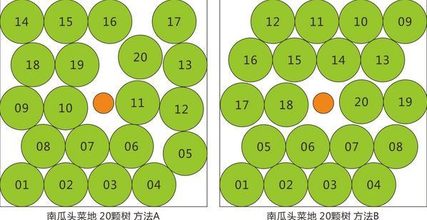 最大化利用菜地　上古南瓜头菜地可种31棵树