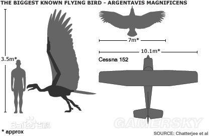 方舟：生存进化-全物种原型对比图一览_阿根廷鹰