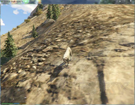 《GTA5》变动物另类玩法图文详解_变狮子(1)