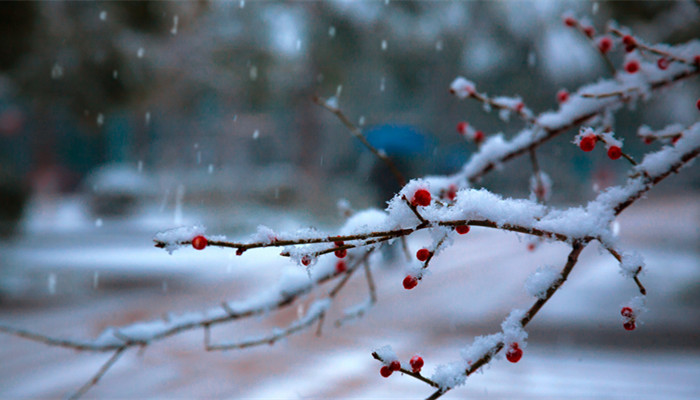 大雪纷飞的诗句 