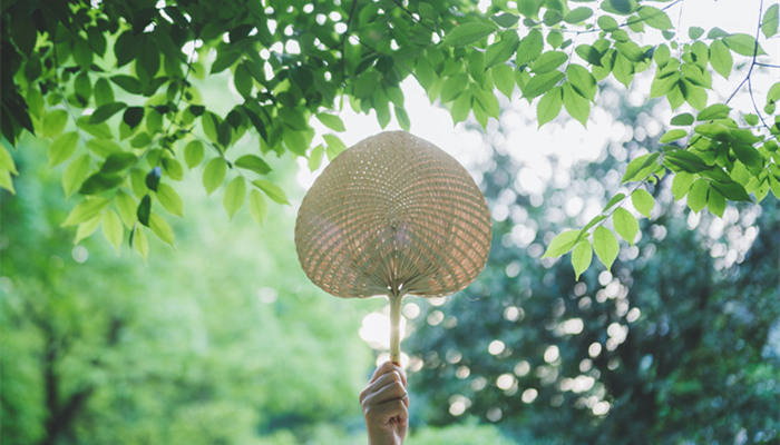 夏至和夏至日的区别 